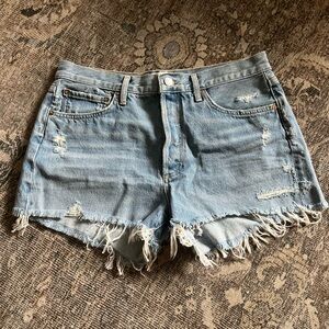 NWT Agolde Parker Denim Fray Shorts